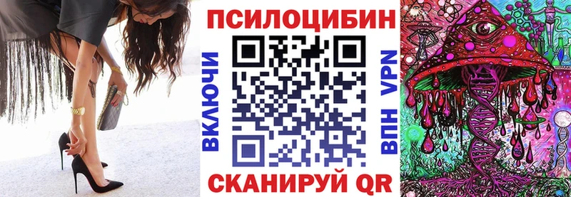 где найти   Краснотурьинск  Галлюциногенные грибы Cubensis 